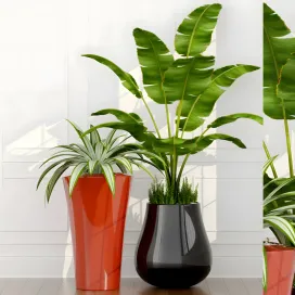Epoxia planters